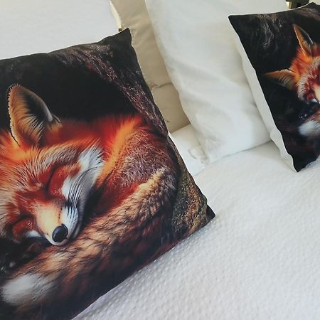 Le Loft Du Renard, Gite Rural A Namur Wepion Dış mekan fotoğraf